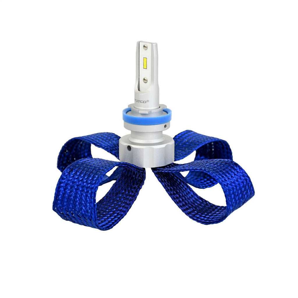 Nitro Pro-Lux Zero LED Kit 709012PZ