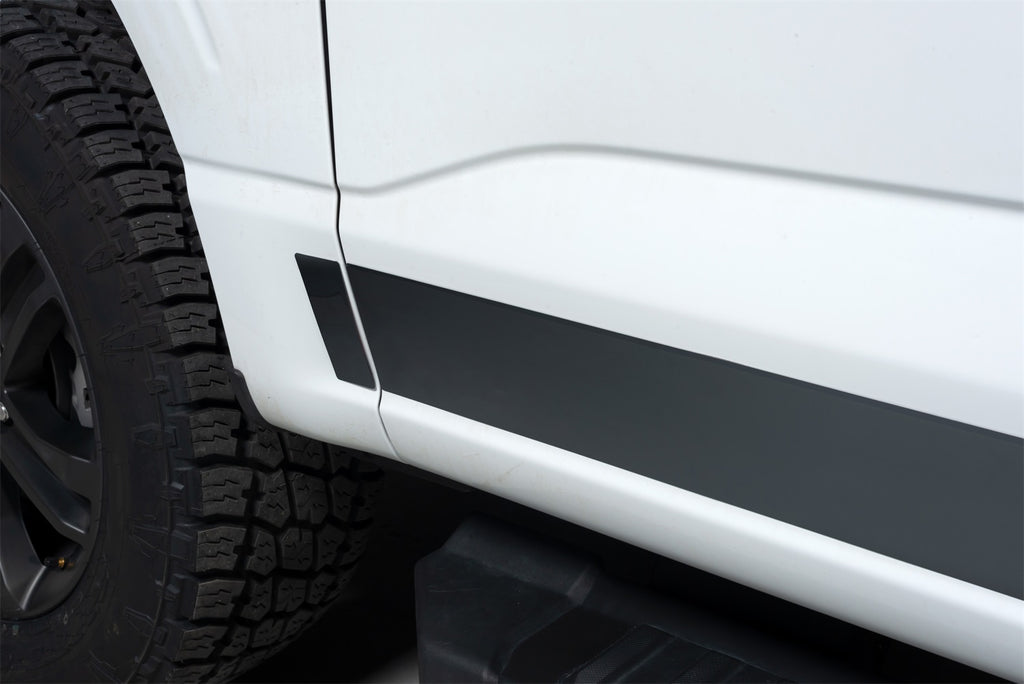 Black Platinum Rocker Panels  -Ford F-150 Reg Cab 6.5 ft Standard Box (4.25" tall, 10 Pieces)