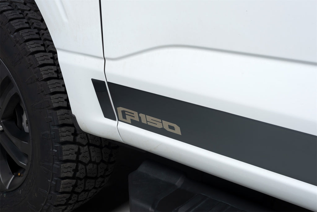 Ford Black Platinum Rocker Panels-Ford F-150 Reg Cab 8 ft Long Box (4.25" tall, 10 Pieces)
