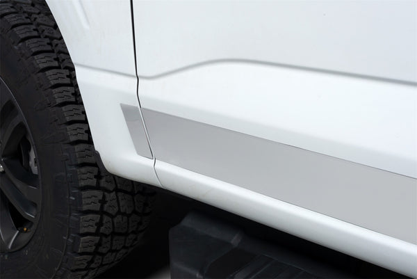 Stainless Steel Rocker Panels-Ford F-150 Super Cab 6.5 ft Standard Box (4.25" tall, 12 Pieces)