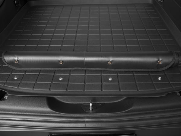 Cargo Liner w/Bumper Protector