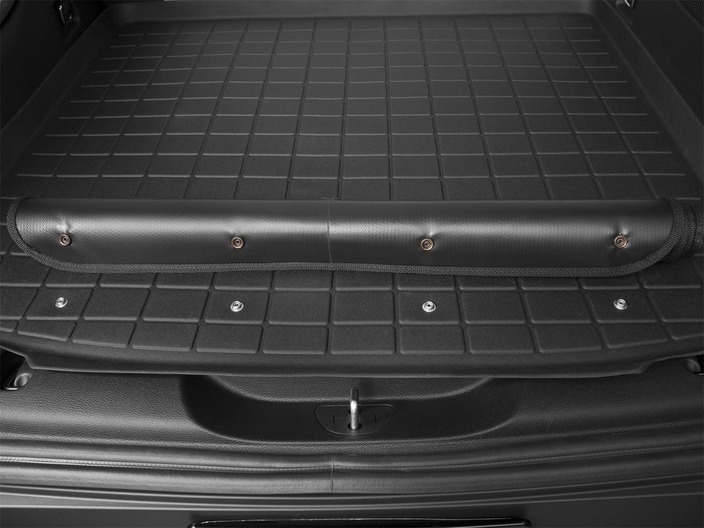 Cargo Liner w/Bumper Protector 431385SK